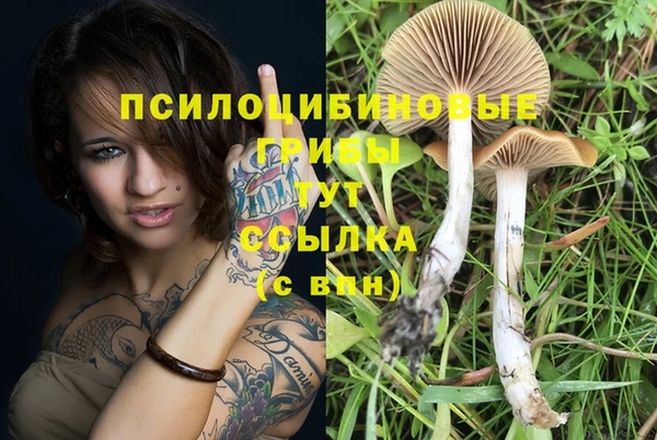 каннабис Алзамай