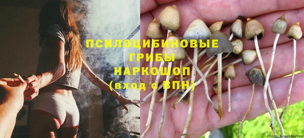 каннабис Алзамай