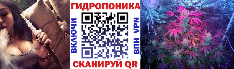 Купить  Устюжна  Бошки Шишки гибрид 